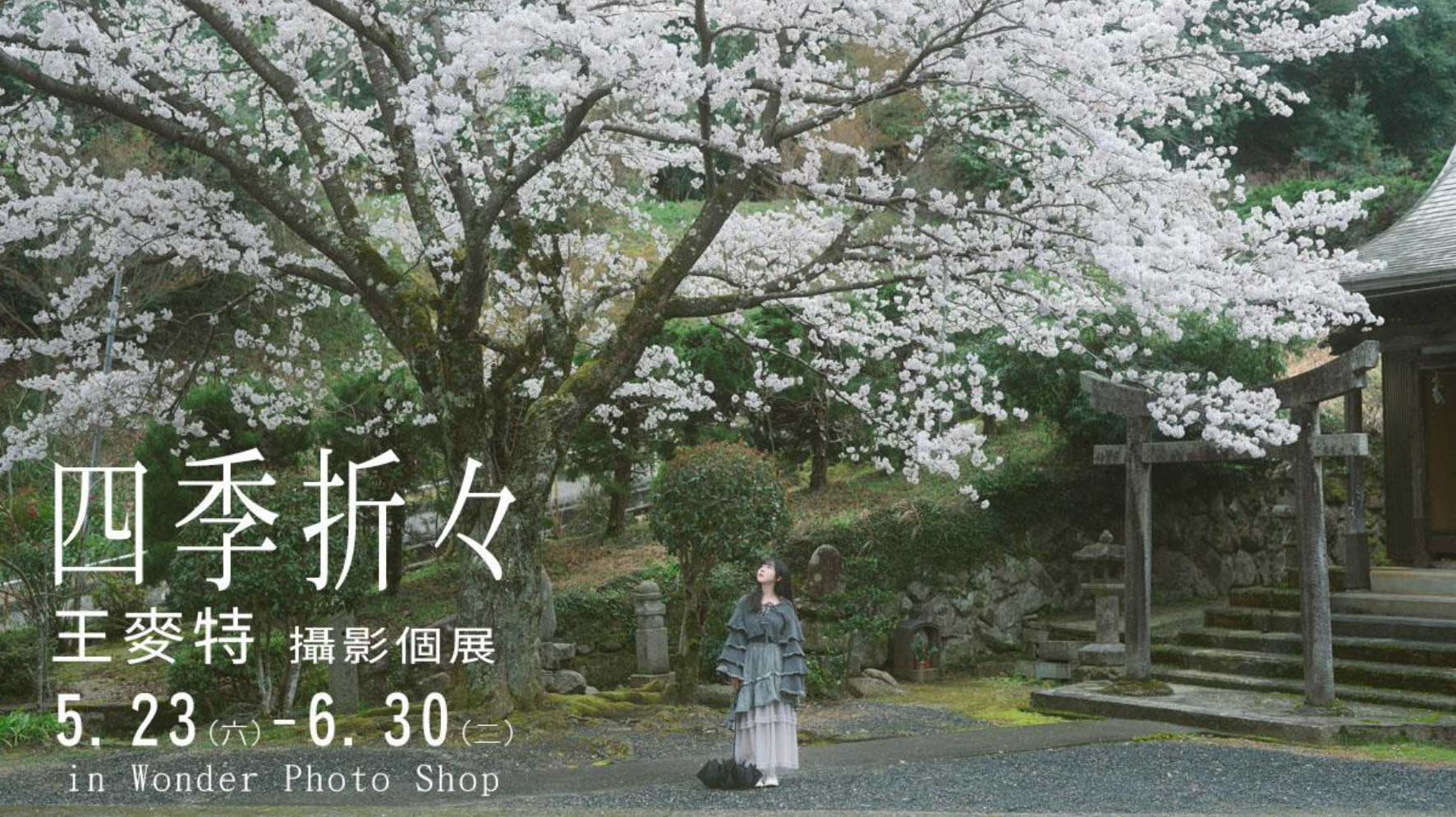 王麥特攝影個展《四季折々 - Shikioriori》