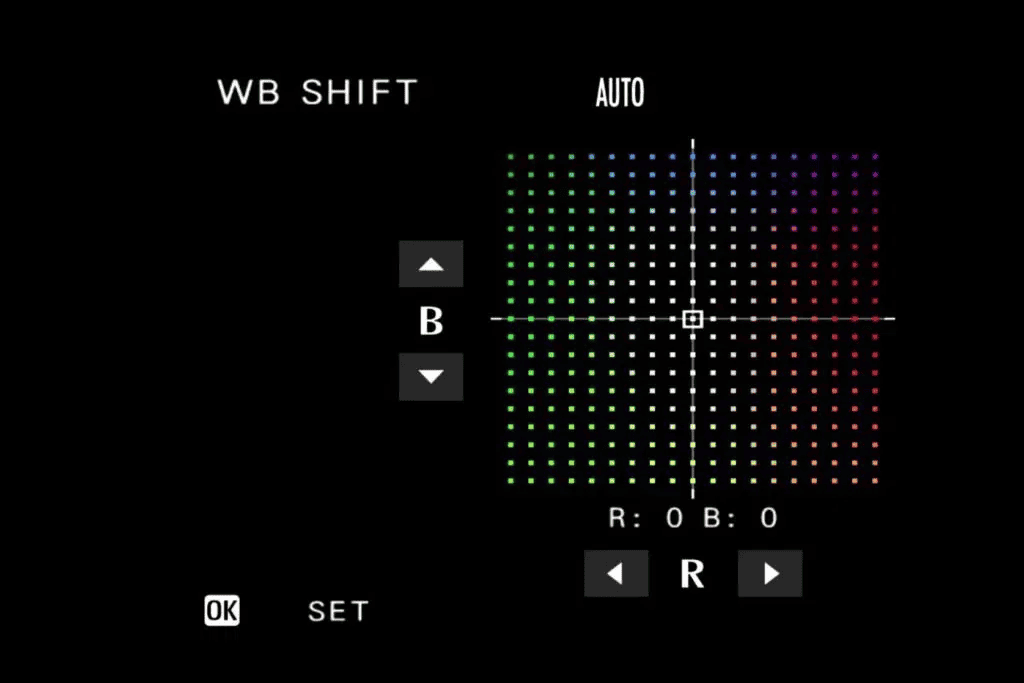 White Balance Shift - Image 4
